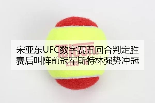 宋亚东UFC数字赛五回合判定胜 赛后叫阵前冠军斯特林强势冲冠